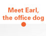 Meet Earl the Office Dog